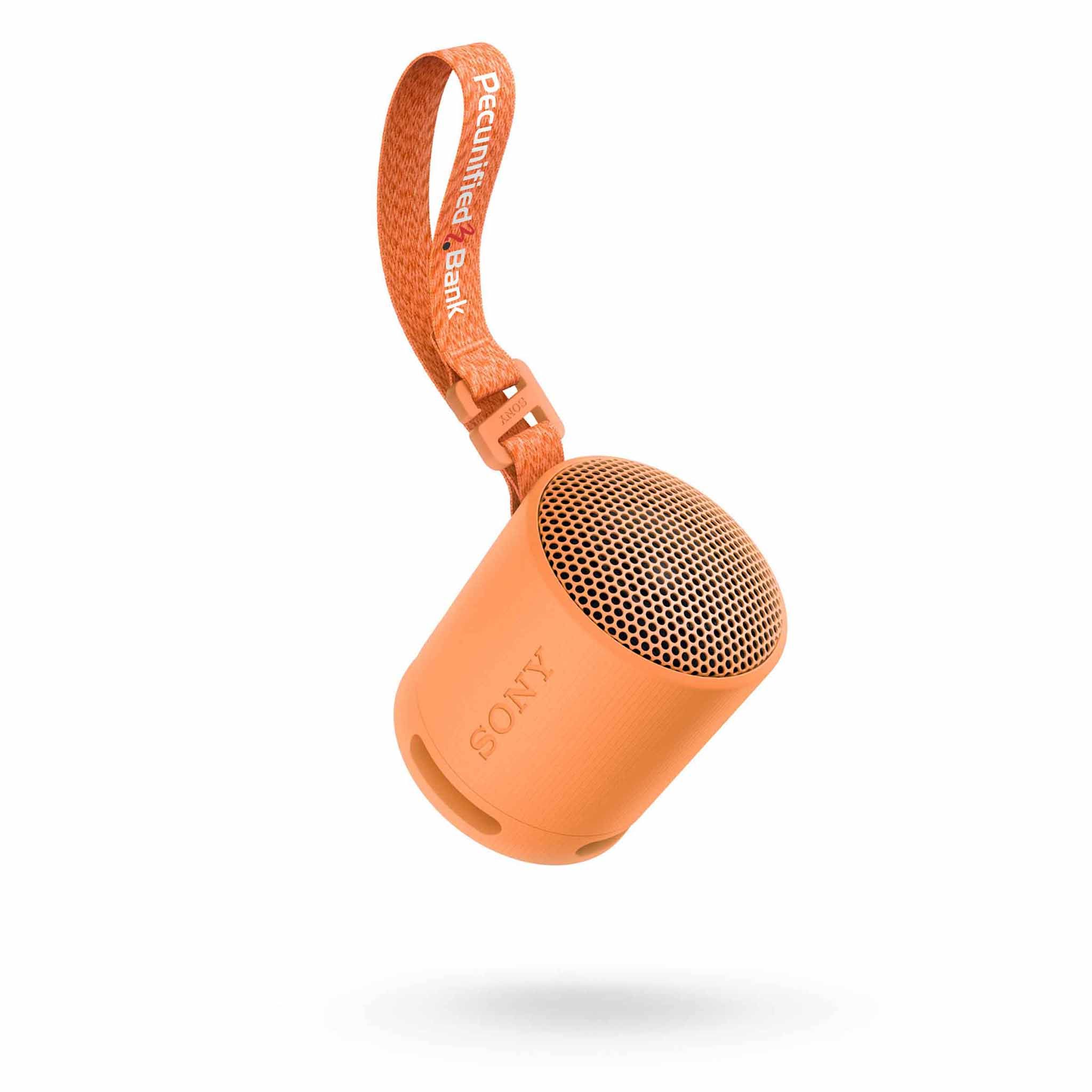 Sony Bluetooth Speaker SRS-XB100