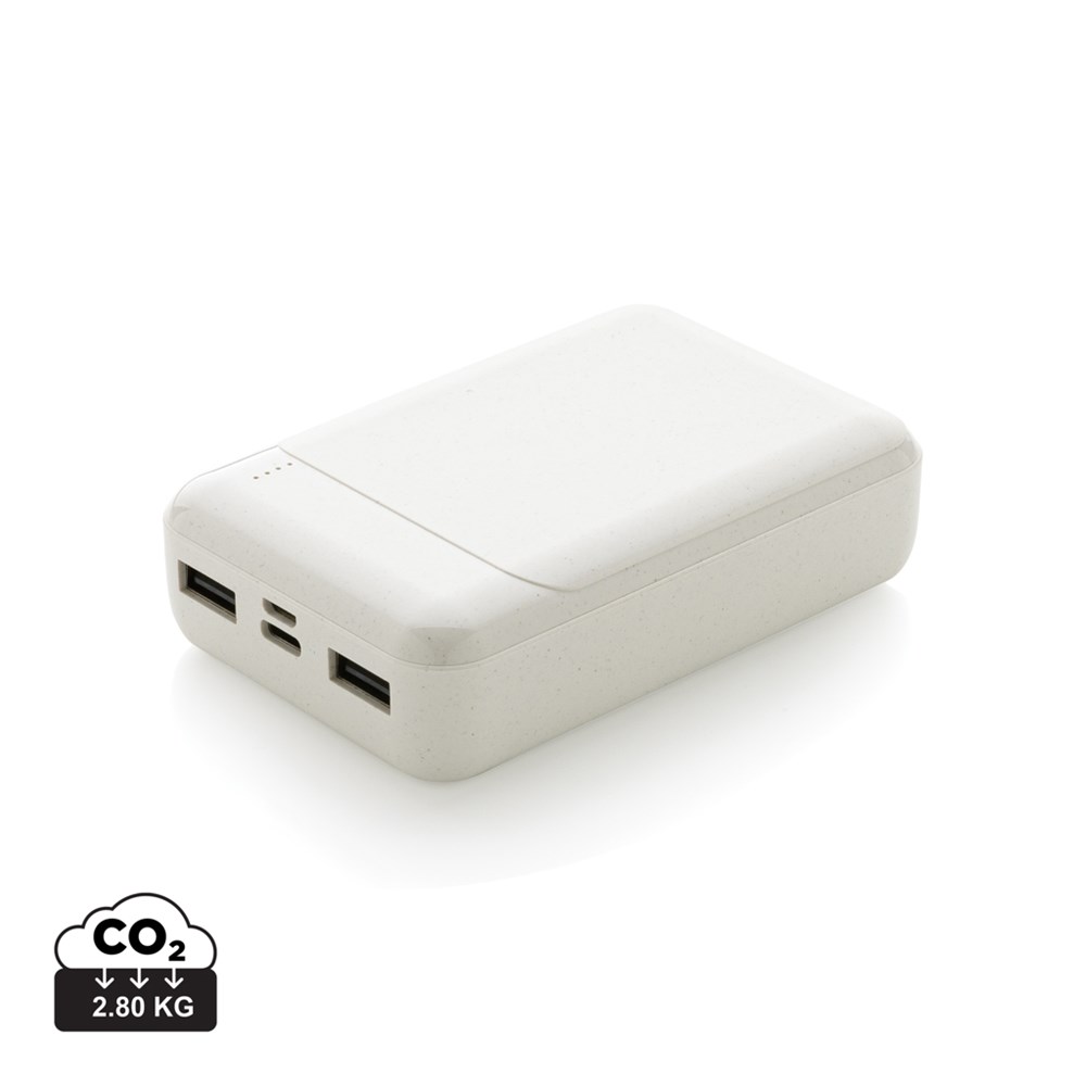 Powerbank zakformaat - 10.000 mAh