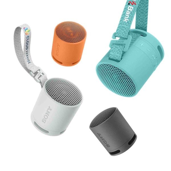 Sony Bluetooth Speaker SRS-XB100