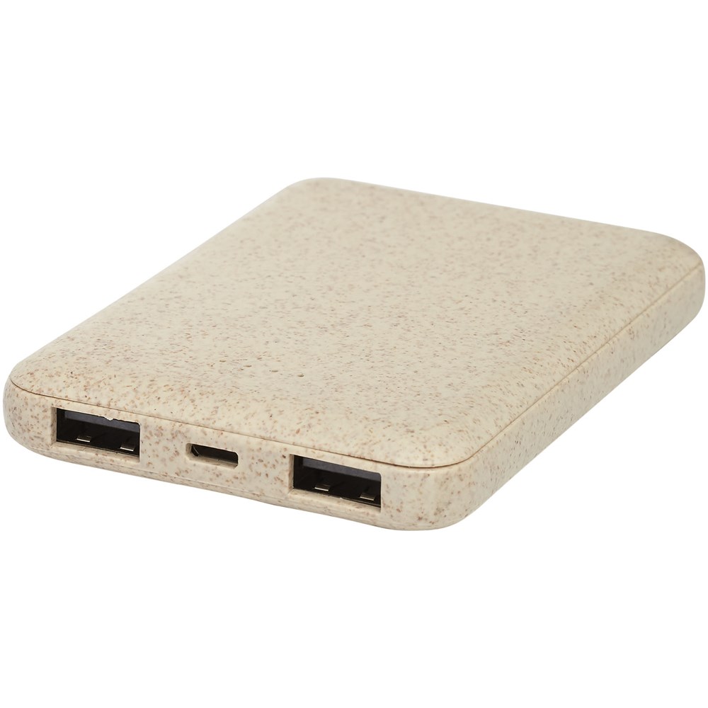 Tarwestro powerbank - 5000 mAh