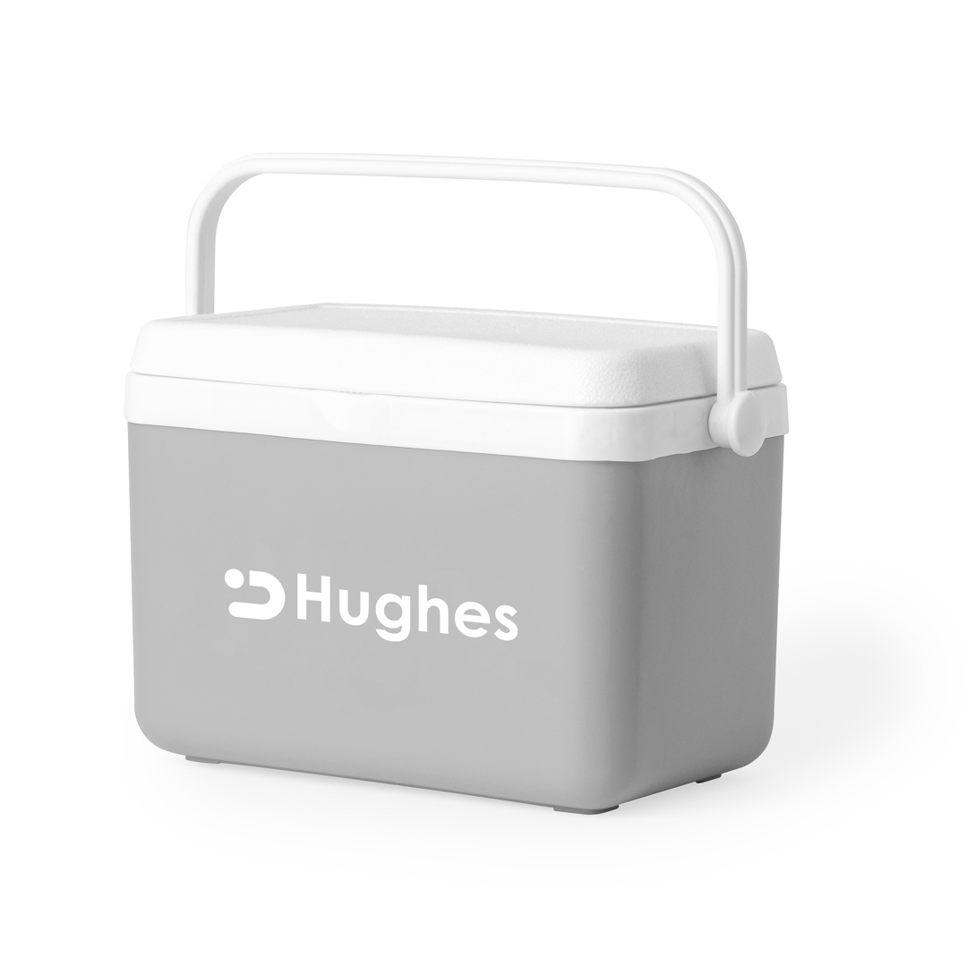 Kleine koelbox - 4 liter