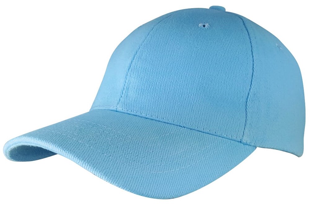 Heavy Brushed cap met borduring